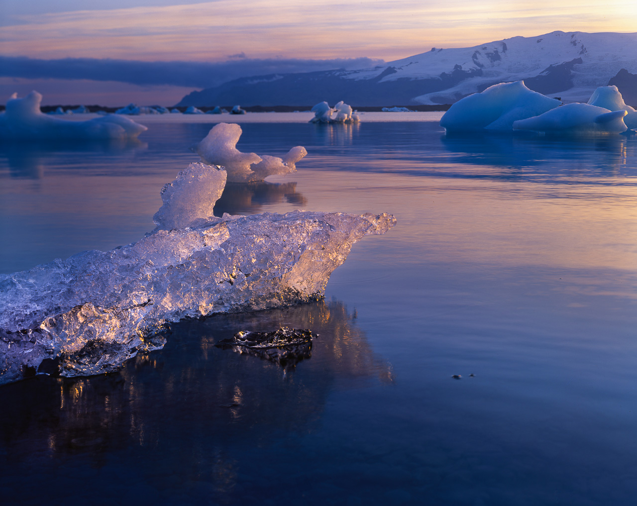 #20 what you end up with are amazing scenes like this. and sheep.