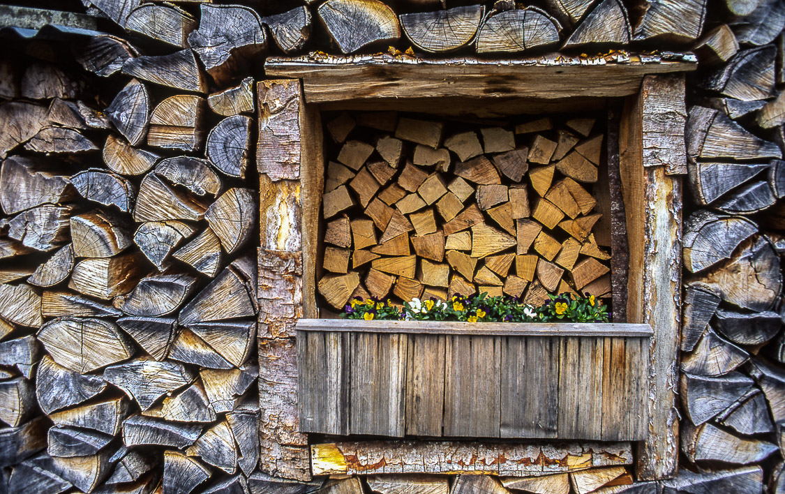 #8 lots of logs in Iseltwald