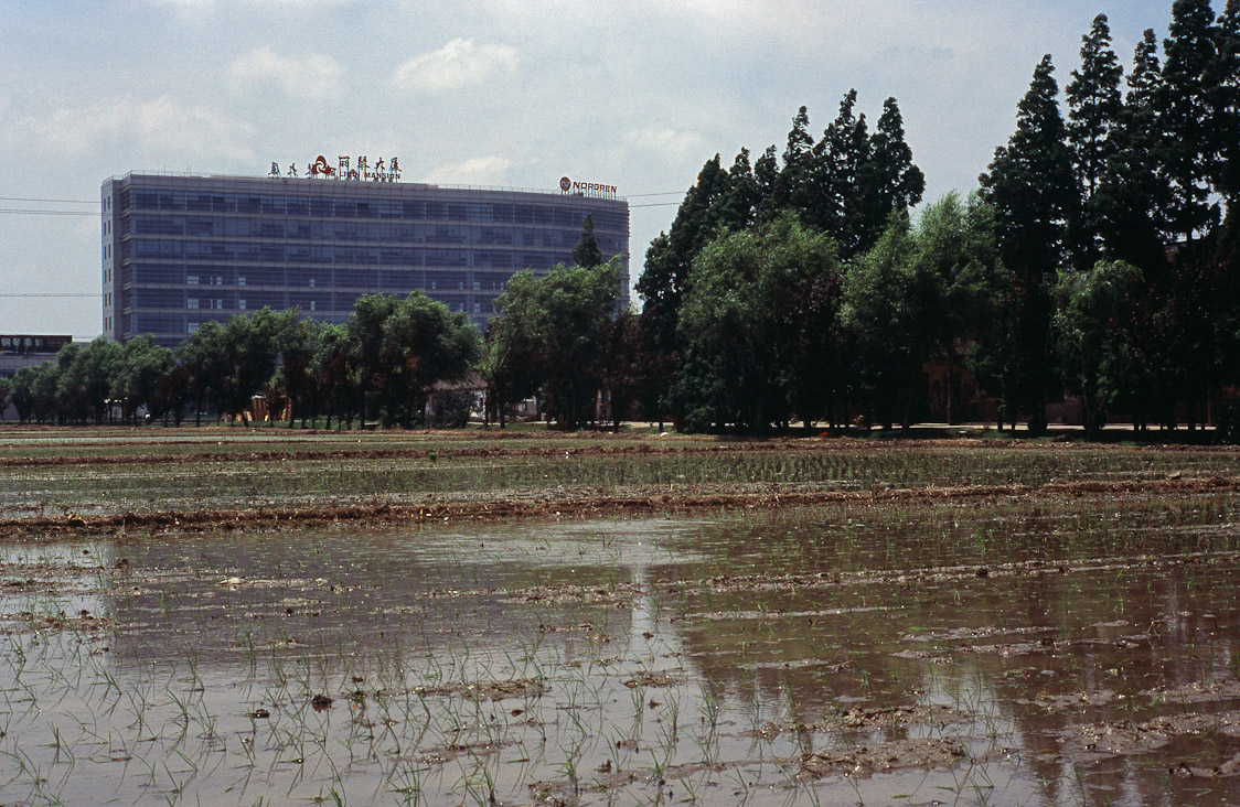 #11 work, and rice paddies