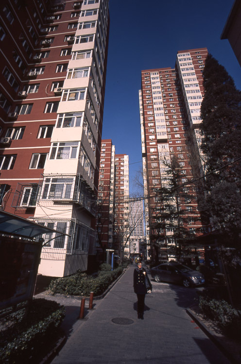 #17 Maraika in her old hood