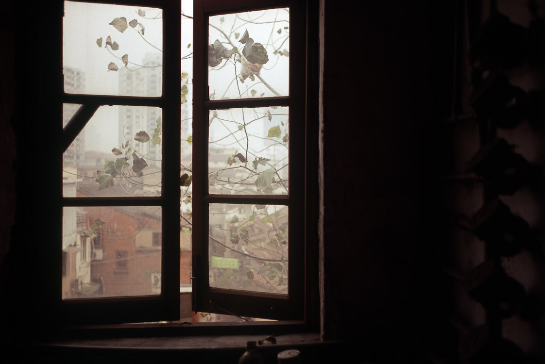 #6 a window shot again