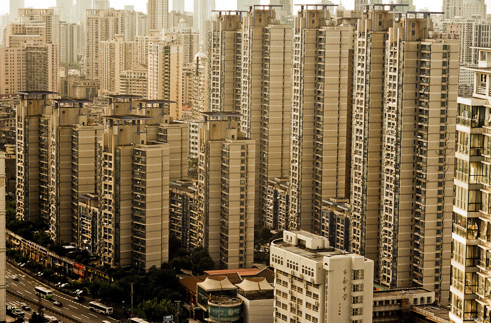 #20 Jungle. Bus to size lower left.