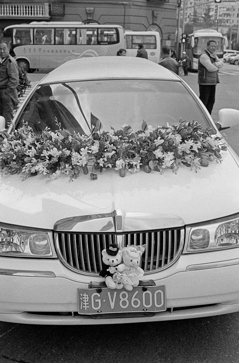 #21 wedding teddies that'll be eating flies on the highway soon