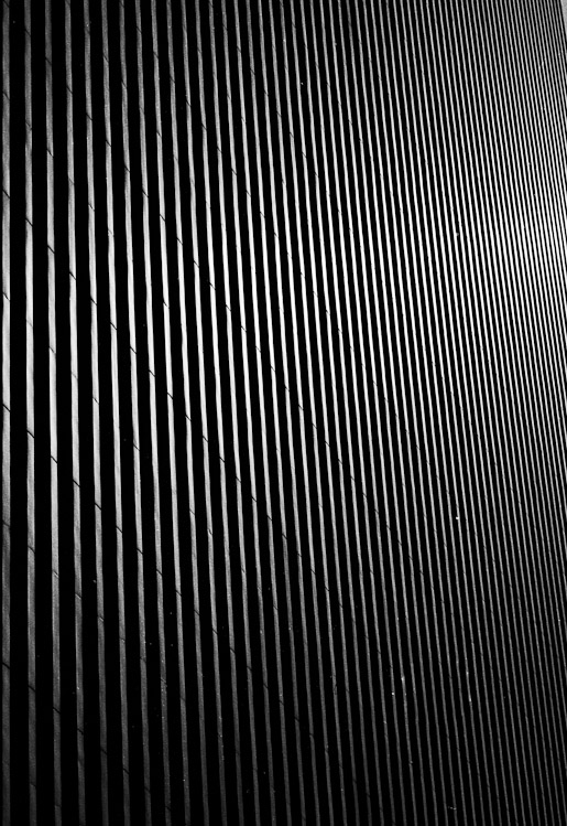 #27 Dizzy Housefront