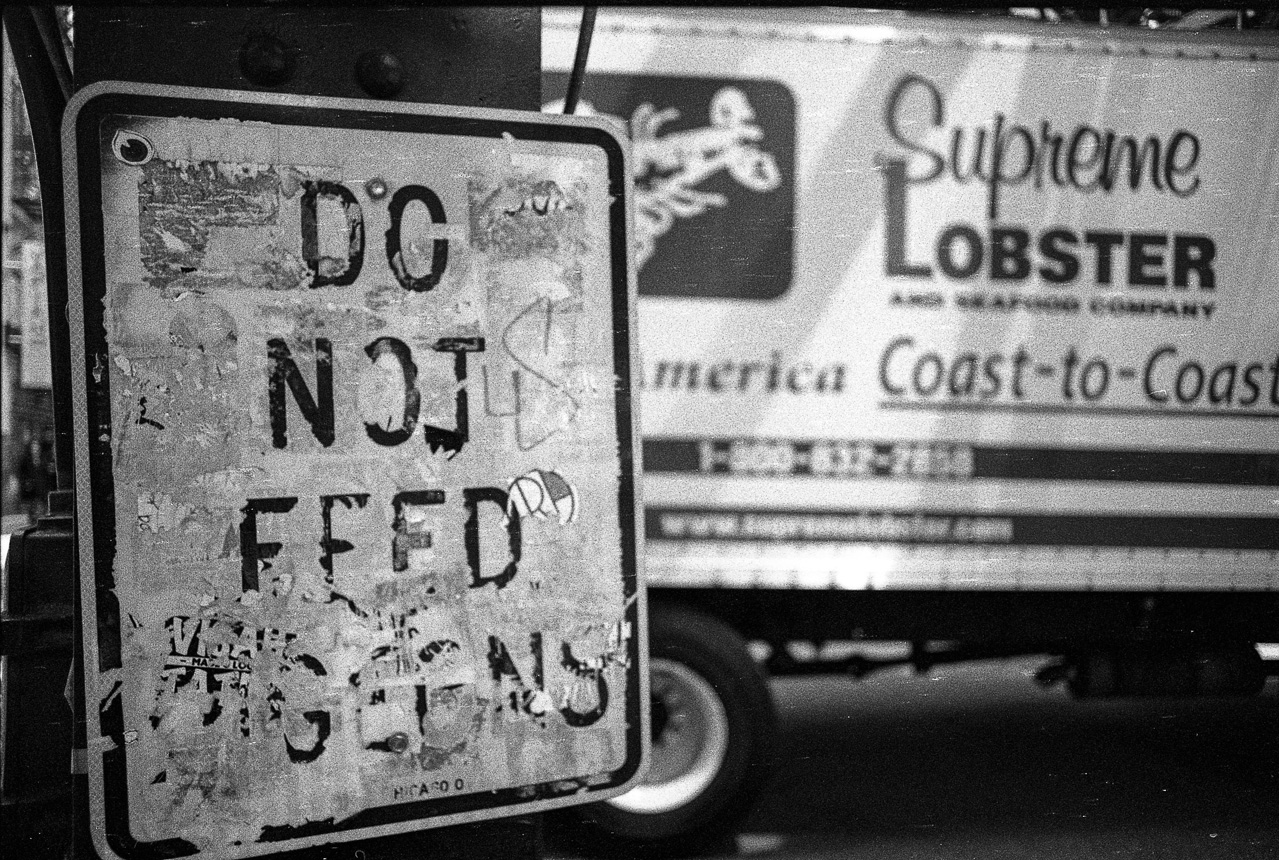 #30 DO NOT FEED Supreme Lobster