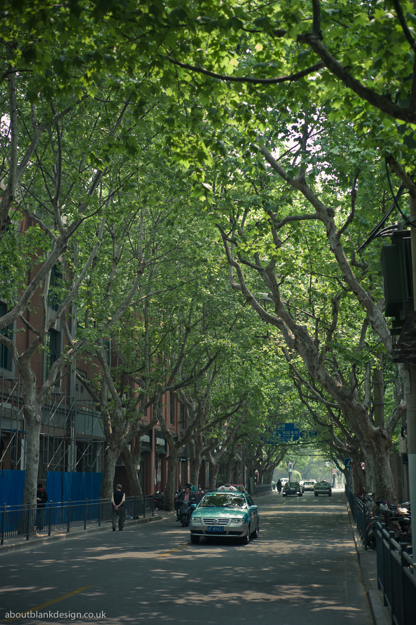 #48 another one down Maoming Lu