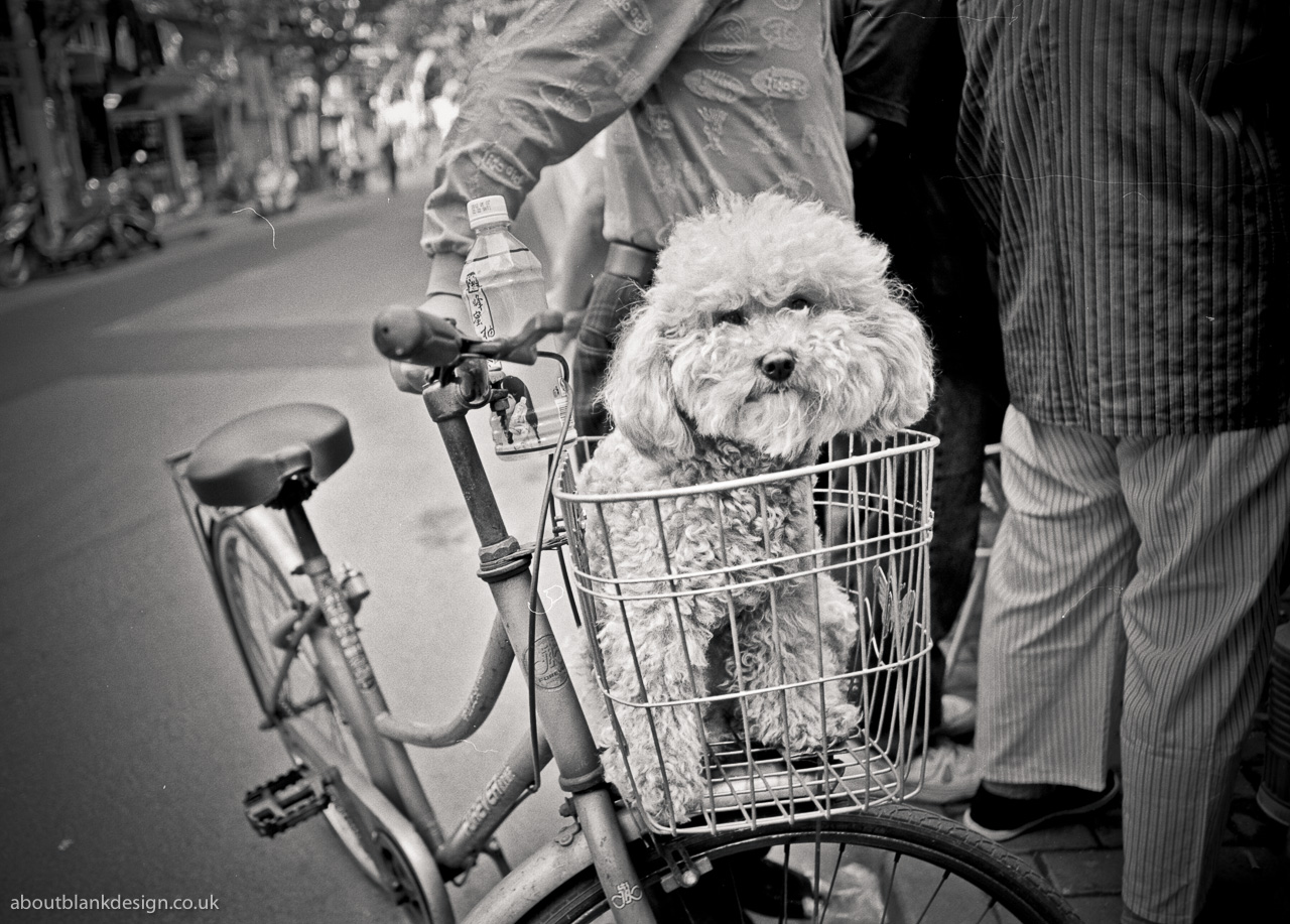 #16 everyone's checking out the Mahjong fixtures. He was checking me out.