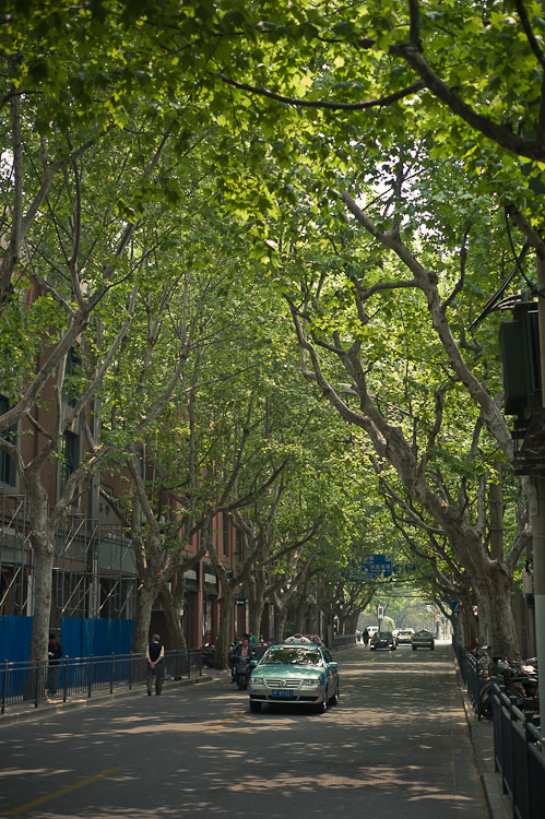 #9 another one down Maoming Lu