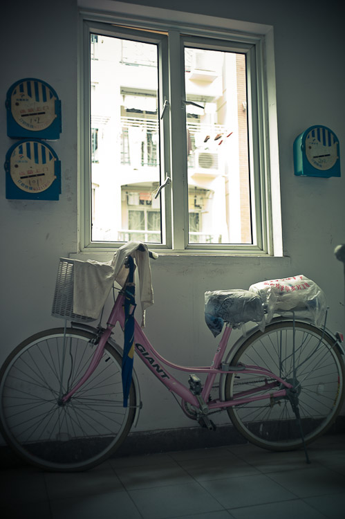#49 bikes in our staircase