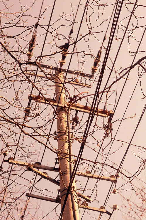 #32 power pole, jianguo lu
