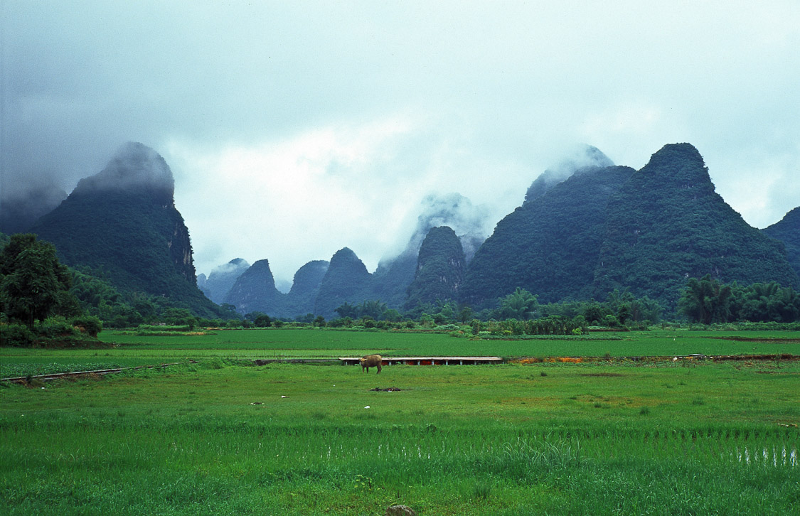 #32 Beauty. Yangshuo.