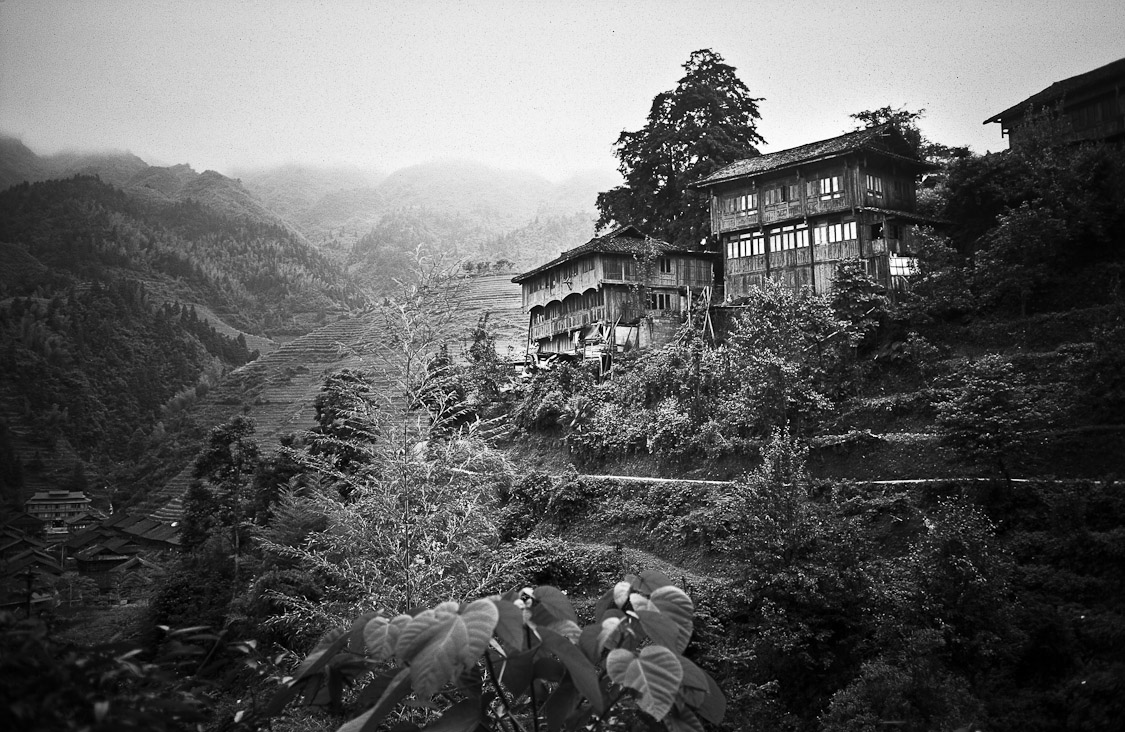 #24 i cleverly covered a massive rubbish landslide with that bush there.