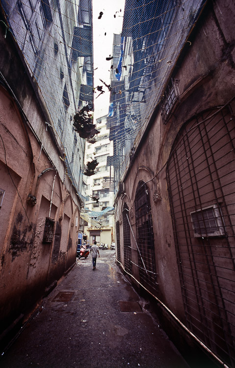 #16 back alley with shit on nets, Mumbadevi, Mumbai