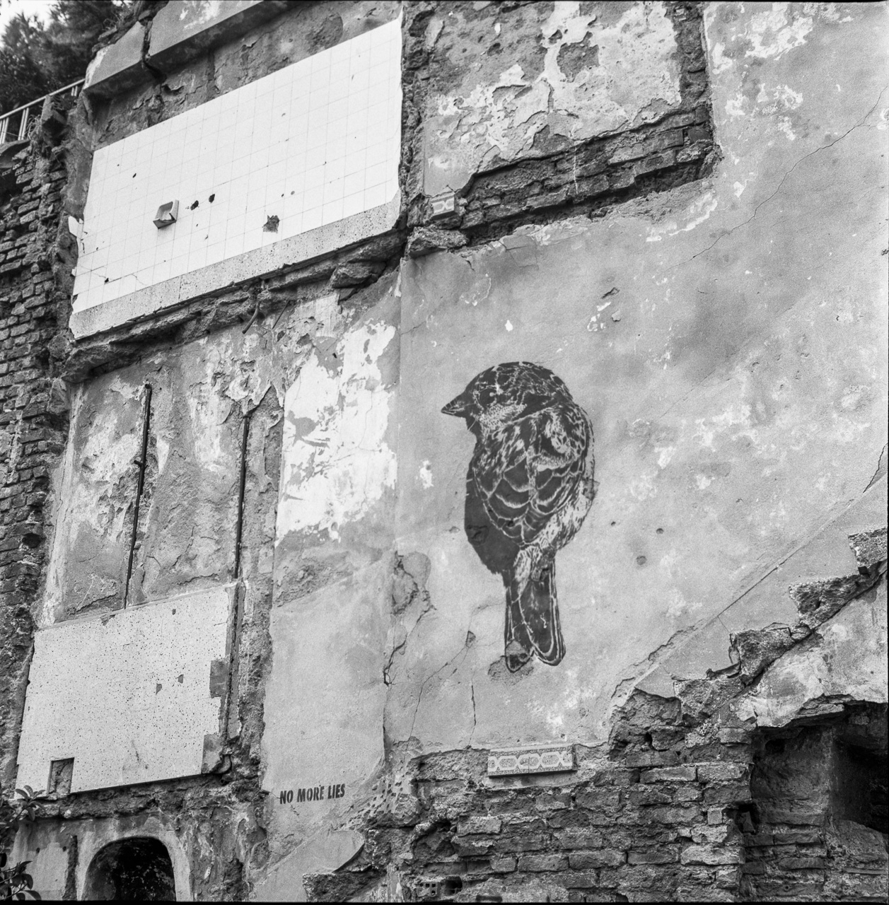 #10 Bird and Bathroom wall