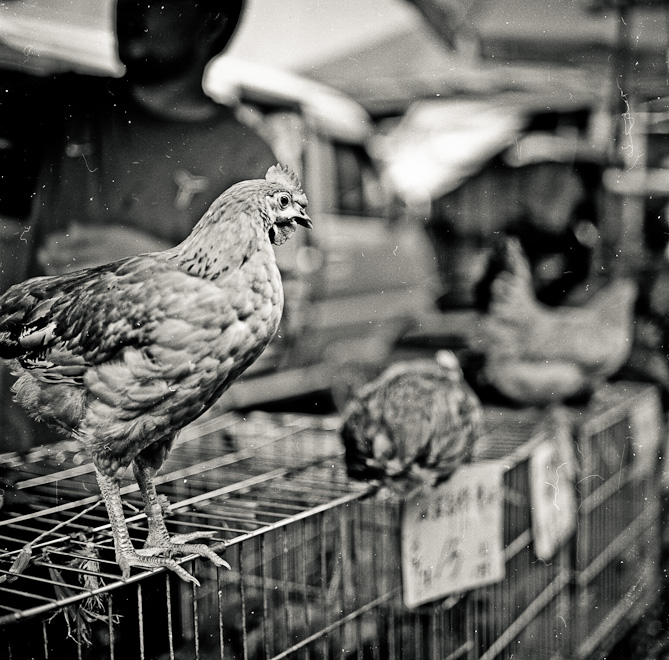 #15 When you read this, that chicken is already fried.