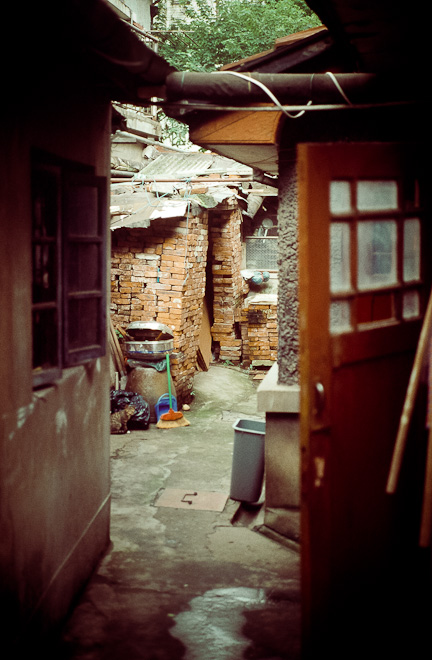 #14 Backyard bangers