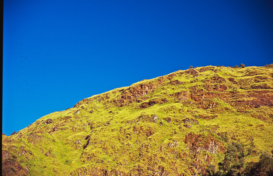 #34 behind that is where we're going.