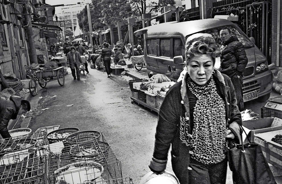 #23 World's best hairdo in the world world.