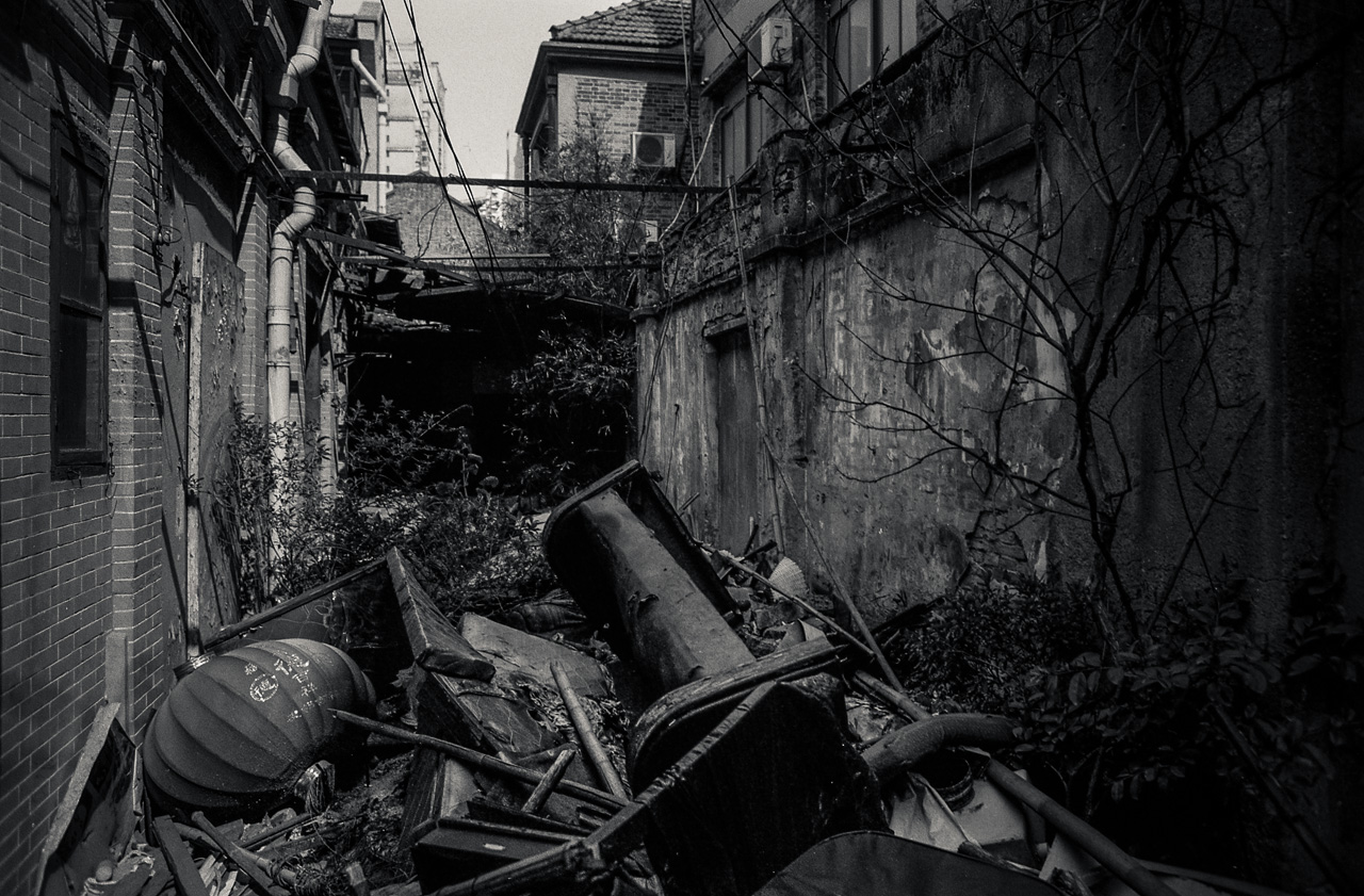 #67 Obviously a paradise, from a cat point of view. Look at all those things to knock over!!