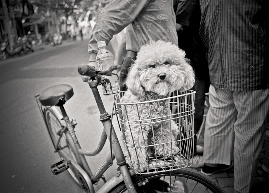 #27 everyone's checking out the Mahjong fixtures. He was checking me out.