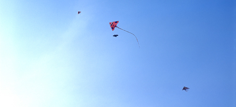 #30 it's checking you out