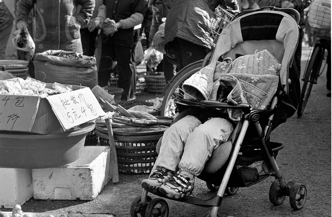 #15 legs in a stroller