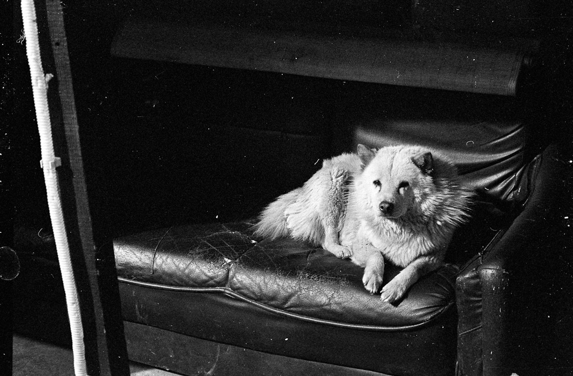 #33 a fine gentlemen lounging about.