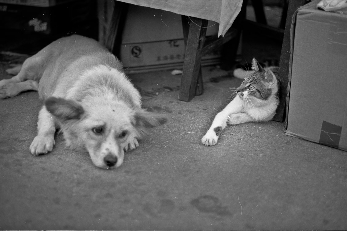 #38 I'll leave you with these two. Awesome saturday.