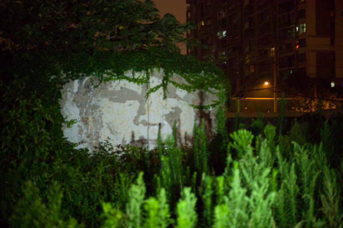 #46 Another face staring at the greens, reclaiming land what was once housing thousands of people.