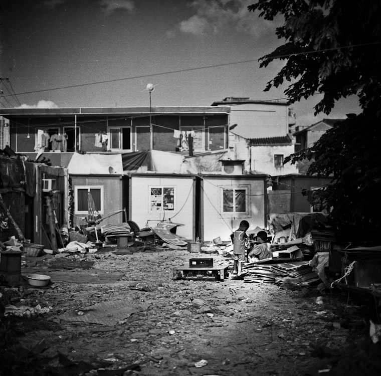 #22 Playing in the backyard