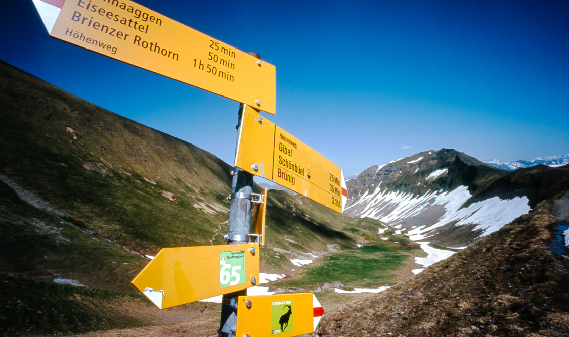 #26 hiking trail info. we walked for six hours. difficult.