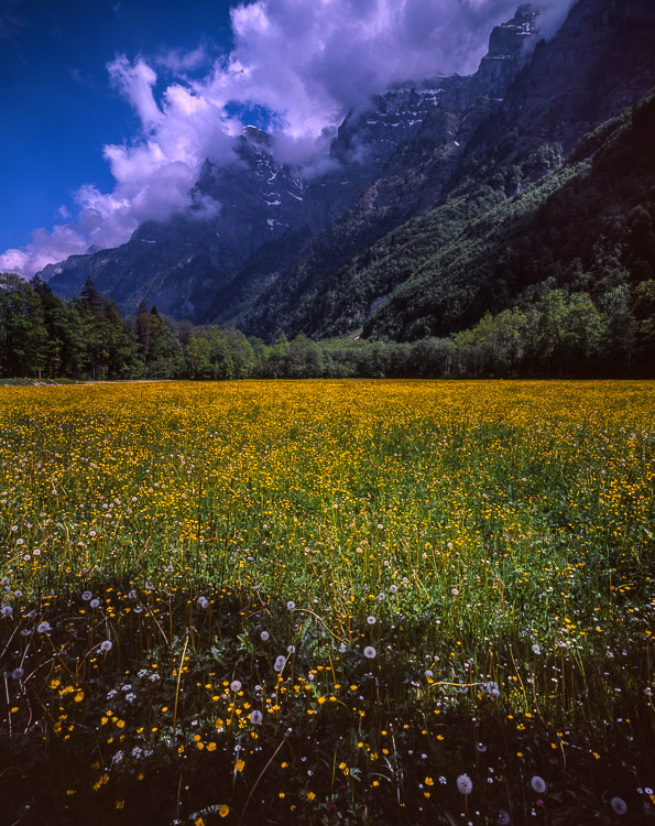 #21 we also went camping - Klöntal. Beautiful.